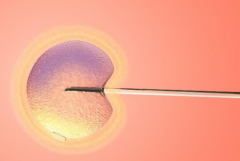 醴陵哪家医院看不孕不育最靠谱？醴陵试管医院大揭秘！