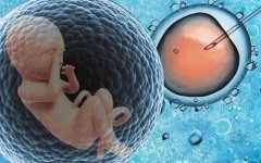 鲜胚移植失败的3大症状解析，注意保持良好心态