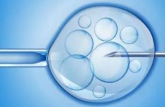 鲜胚移植后的存活时间,鲜胚移植后未能成功的三个常见预示