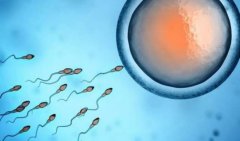 重庆新桥医院做试管的技术分析，助孕成功率在80%左右