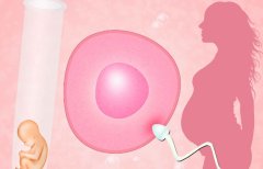 阳泉三代试管包成功的费用介绍,是否可以分期付款?