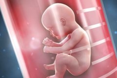 海南省中医院试管费用参考,试管的重要性与前景展望