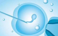 鹤岗三代试管怀双胞胎的套餐内容及价格明细