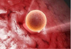 盘点鲜胚移植失败的主要原因，移植前要仔细检查！