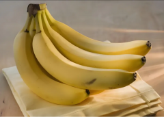 做完鲜胚移植吃什么水果好？可适量吃香蕉