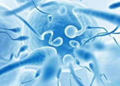 长治中医院试管费用全解析：基本费用与附加费用一览无遗！