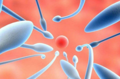 详解郑州试管费用，了解每个环节存在的差别！