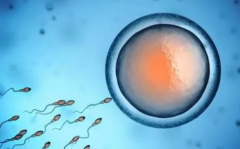 晚上失眠，促排遭殃！揭秘失眠对促排流程及成功率的双重影响