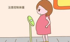 身体肥胖的人是否适合做试管,肥胖做试管的成功率