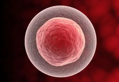 试管省钱秘籍!长方案VS短方案，选对省一半!