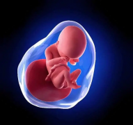 揭秘荆州市中心医院试管成功率！了解这家医院的试管技术为何这么牛