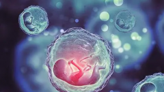 长治市妇幼保健院试管费用大公开！明细一览，让你轻松算清账！