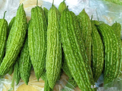 做试管后能吃苦瓜吗？揭秘苦瓜营养与对移植的小秘密！