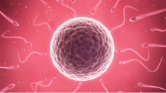 试管防“空泡”，3招安心迎好孕！