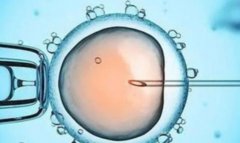 鲜胚移植方法的特点和缺点，鲜胚移植与囊胚移植的比较