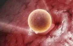 鲜胚移植后8天出现浅印的原因，要怎么确认是否成功怀孕？