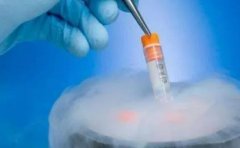 3ca等级的囊胚移植成功率高吗？试管3ca囊胚的优势