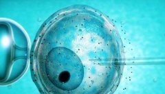 通辽试管医院介绍，试管技术的原理与步骤