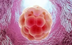 腹痛流血只是表象？鲜胚移植后这几点更重要！