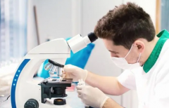 试管移植屡遭挫败？这项关键检查你绝不能忽视！