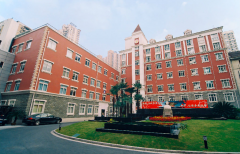 上海哪些医院试管技术好？这几家做三代试管成功率高！