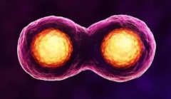 揭秘珠海三代试管“性价比”之路：费用与项目深度剖析