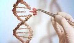 青岛三代试管全攻略：价格透明，精选靠谱医院！