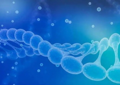 影响三代试管收费的三大因素，每一点都很重要！