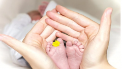 果纳芬促排注射后拉肚子怎么办？一文掌握正常情况与缓解技巧！