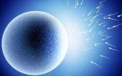 俄罗斯试管费用已公布，单次试管费用在10万元左右