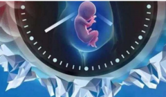 漯河三代试管选性别费用全解析：收费项目一览无余！