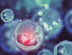 长沙试管费用指南：明细一览，助您轻松掌握预算！