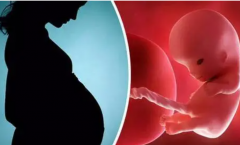 长春三代试管,包生'男'孩的真相与选择背后的原因深度剖析