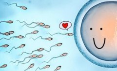 试管促排注意事项，取卵数量与成功率的关系