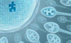 收藏！这些促排方案最适合高龄患者做试管