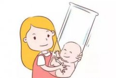 单次试管的费用详情及费用构成了解