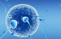 试管新选择：冻胚移植带来多重好处！