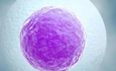 鲜胚移植第7天测出概率低？深度解析原因与应对策略