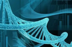 随州试管服务全面开启，湖北姐妹新选择！