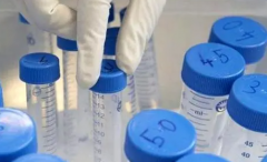 5ab囊胚移植成功率大揭秘：高质量胚胎带来高希望