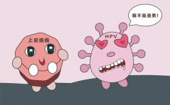 HPV阳性增加试管风险，建议做好预防措施