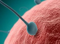  开封三代试管选性别费用全解析：三大费用板块，一文让您心中有数！