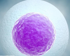 镇江三代试管“包生女孩”：费用全解析，明细参考一文通！