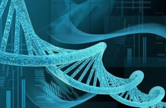 郴州三代试管“包成功”：一个周期费用全解析，明细介绍助您预算无