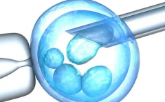 试管胚胎移植前后的禁忌大揭秘！三大饮食禁忌你必须知道