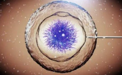 冻胚移植第21天出血，可能的原因大揭秘！