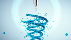 试管移植胚胎的位置与输卵管风险及成功率的关系