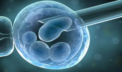 鲜胚移植遇挫？冻胚移植来救场！详解可行性及必备条件
