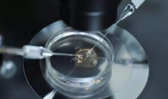 轻度腹水会影响试管鲜胚移植吗？条件分享，一文详解！