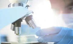 揭秘试管长方案降调费用：一次治疗需要多少钱？